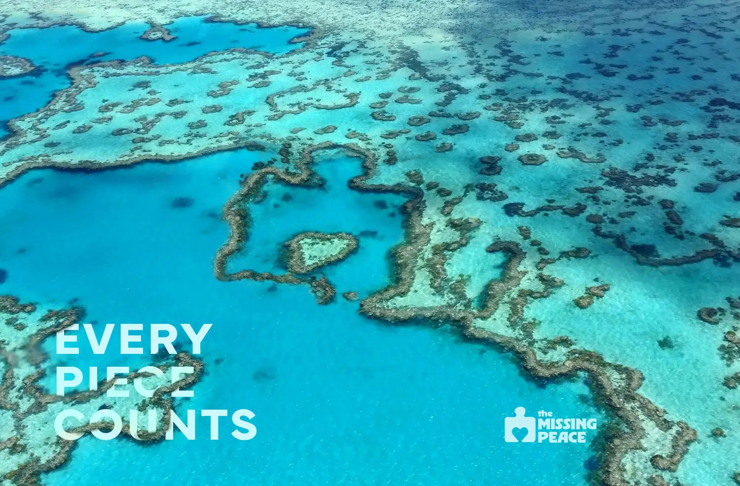 arial view photograph of coral reef
